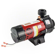 Load image into Gallery viewer, Waterway Tiny Might Circulation Pump 115 Volt 3312610-14