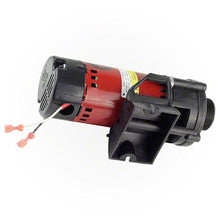 Load image into Gallery viewer, Waterway Tiny Might Circulation Pump 230 Volt 3312620-14