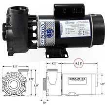 Load image into Gallery viewer, Waterway Executive 1 HP 1 Speed 48 Frame 115 V Pump 3410410-1A