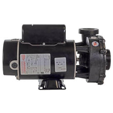 Load image into Gallery viewer, Waterway Hi-Flo 1 HP 1 Speed Pump 3410410-10