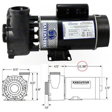 Load image into Gallery viewer, Waterway Executive 4.5 HP 2 Speed 48 Frame 230 Volt Pump 3421821-1A