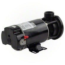 Load image into Gallery viewer, Waterway Center Discharge 1 H.P. 48 Frame 2 Speed 115V Pump 3420410-15
