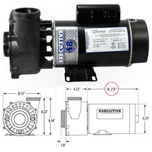 Load image into Gallery viewer, Waterway Executive 1 HP 2 Speed 48 Frame 115 Volt Pump 3420410-1A
