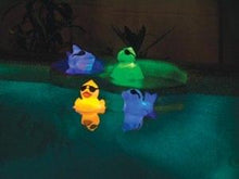 Load image into Gallery viewer, Floating Light Up Pals
